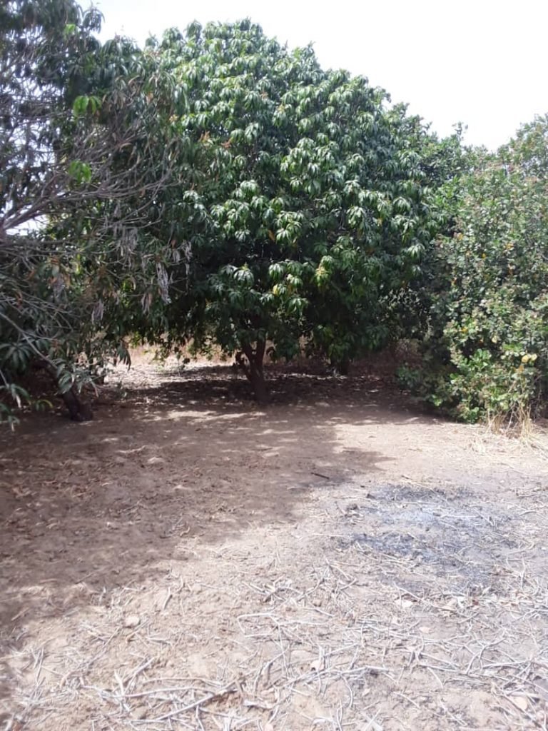 Agence immobilière a Dakar