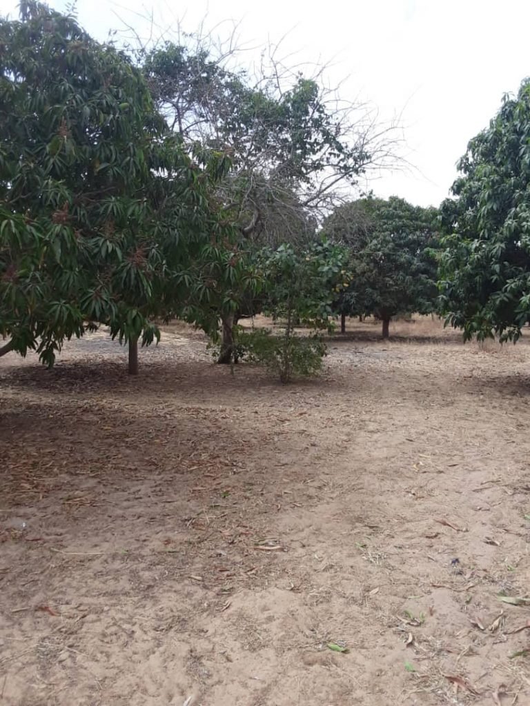 Agence immobilière a Dakar